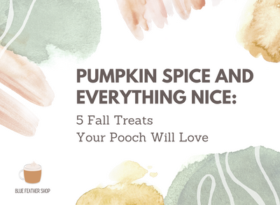 Pumpkin Spice and Everything Nice: 5 Fall Treats Your Pooch Will Love