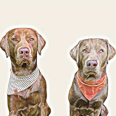 Custom Watercolor Pet Portrait from Photo