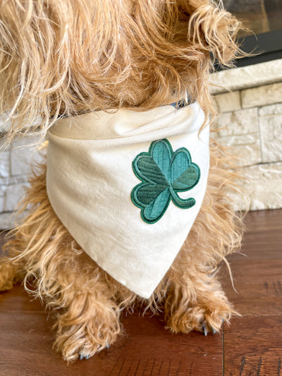 Premium Dog Bandana | St Patricks Day | Lucky Day - Clover